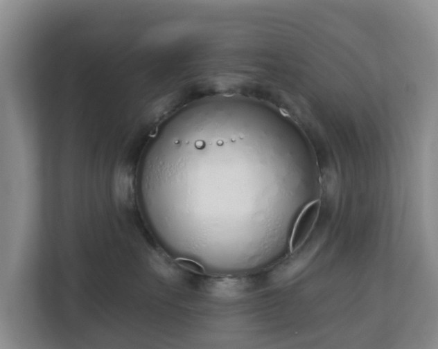 X0000110980527200906261432