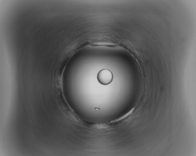 X0000110980528200906261432