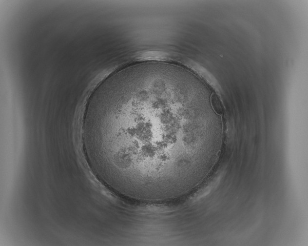 X0000110980529200906261431