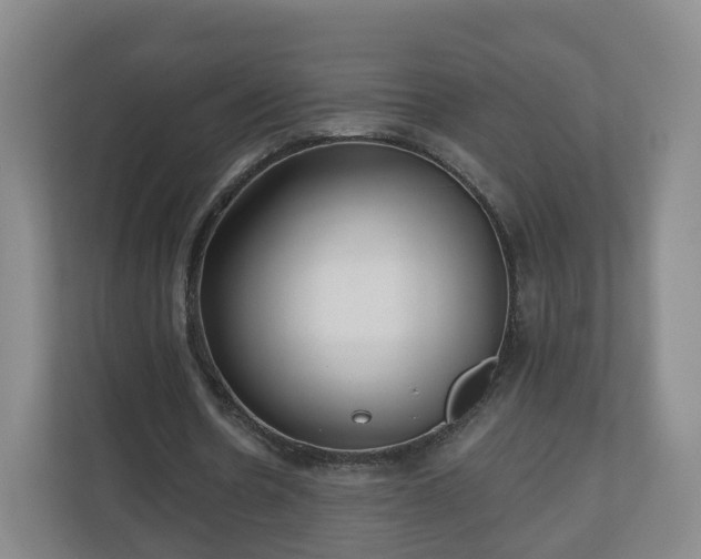 X0000110980530200906261431