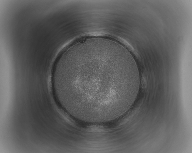 X0000110980535200906261431