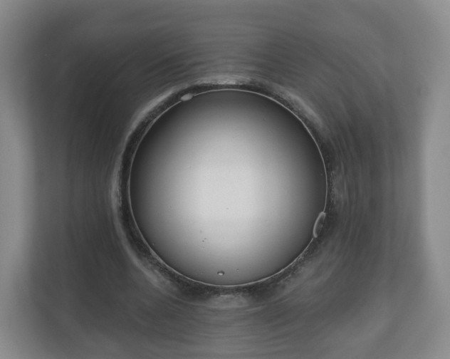 X0000110980536200906261431