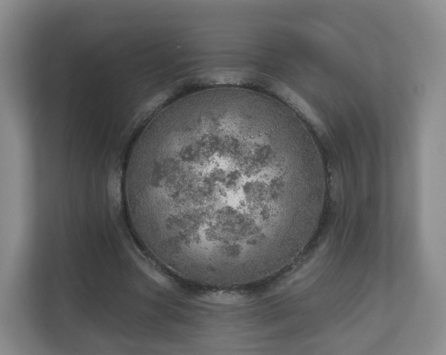 X0000110980537200906261431