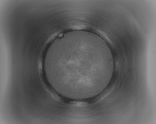 X0000110980539200906261431