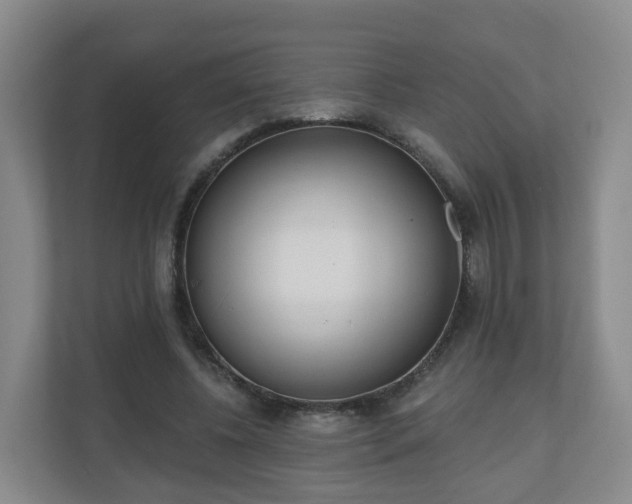 X0000110980540200906261431