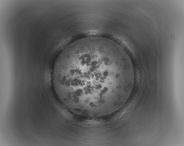 X0000110980545200906261431