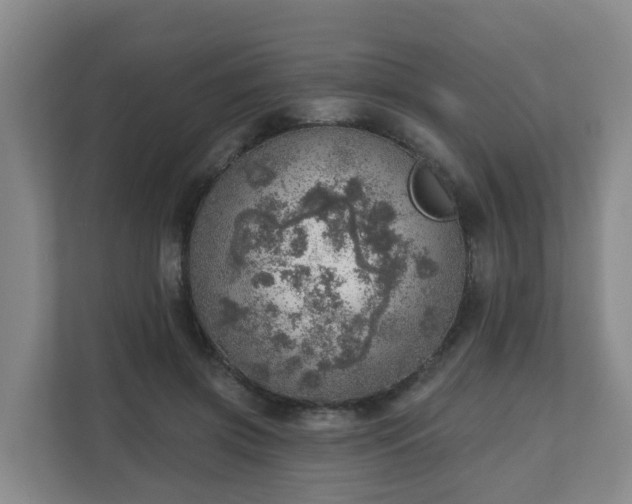 X0000110980549200906261431