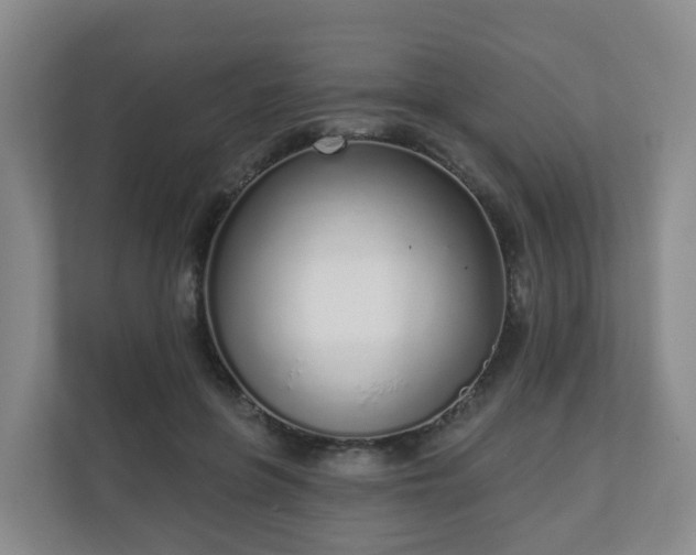 X0000110980551200906261431