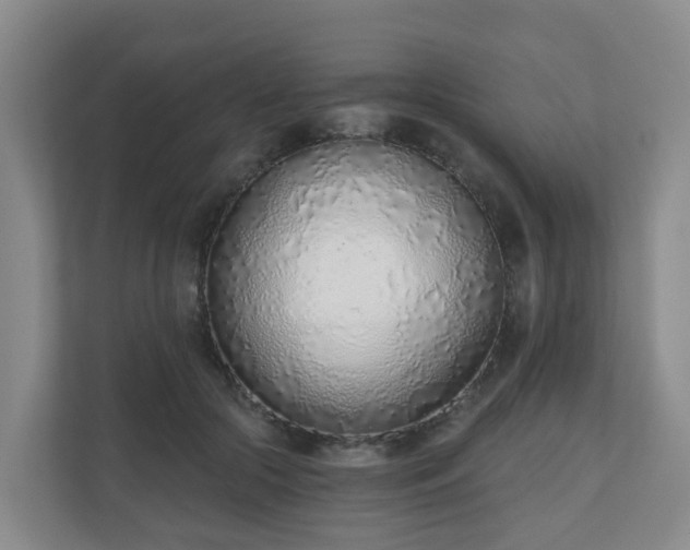 X0000110980553200906261431