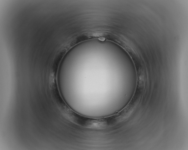 X0000110980555200906261431