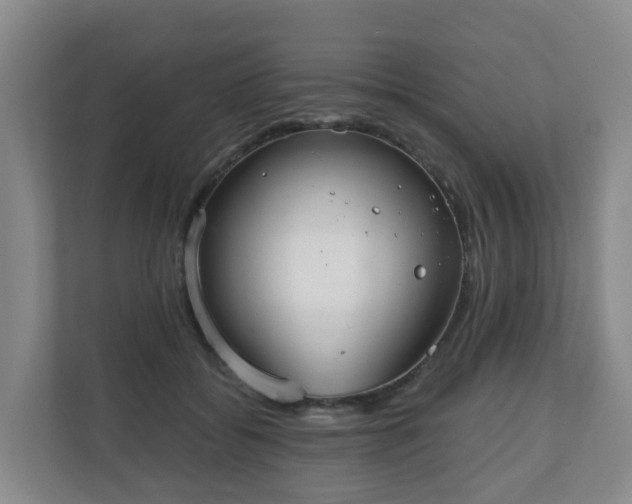 X0000110980556200906261431