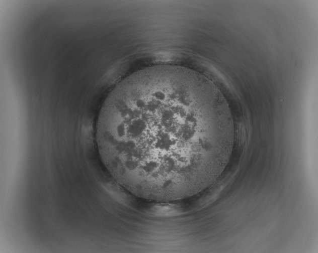 X0000110980557200906261431