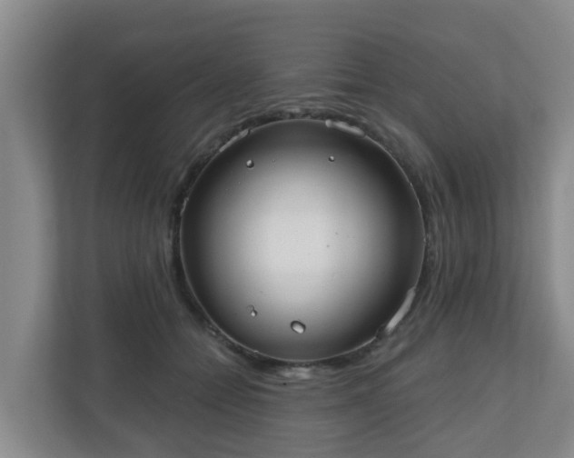 X0000110980558200906261431