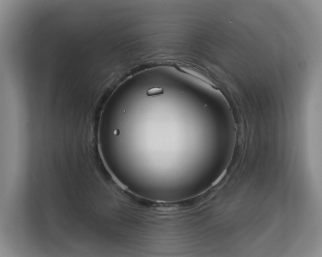 X0000110980560200906261431