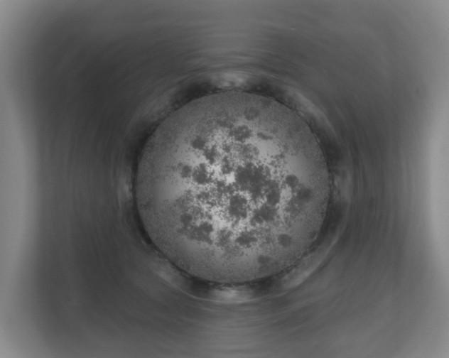 X0000110980561200906261431