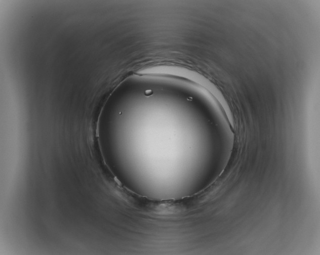 X0000110980562200906261431