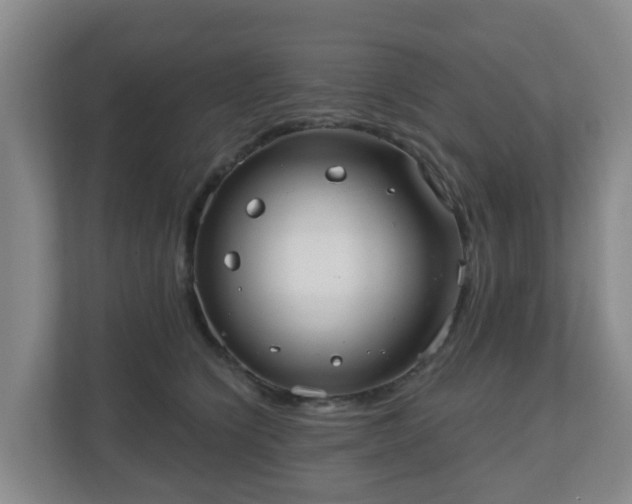 X0000110980564200906261431