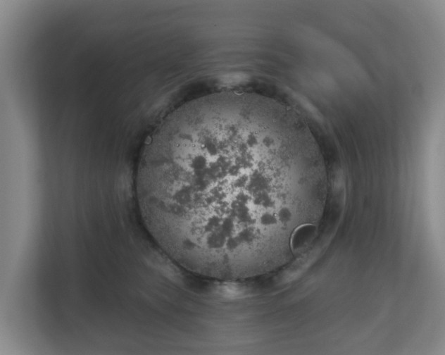 X0000110980565200906261431