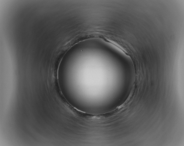 X0000110980566200906261431