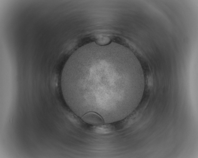 X0000110980567200906261431