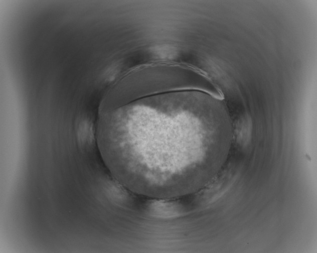 X0000110980568200906261431