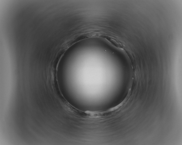 X0000110980570200906261431