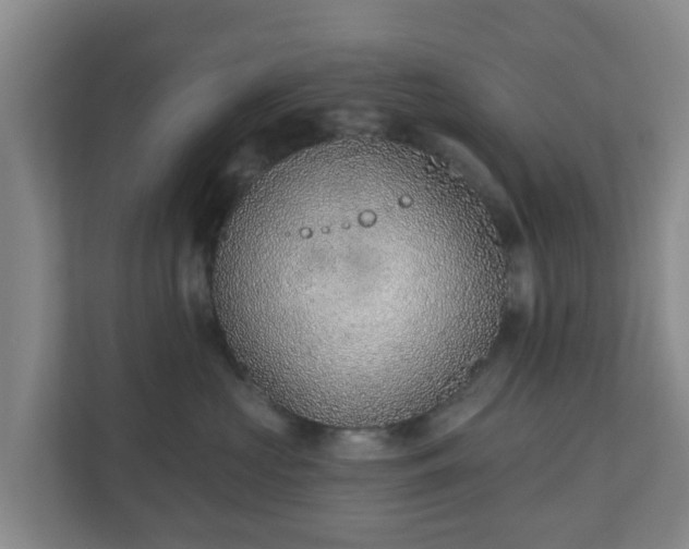 X0000110980573200906261432