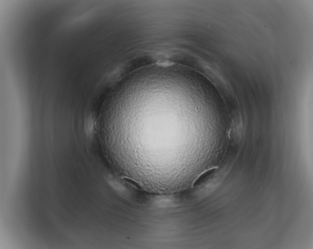 X0000110980574200906261432