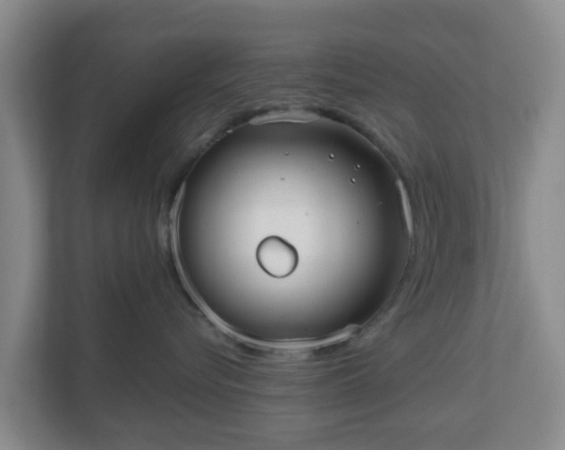 X0000110980576200906261432