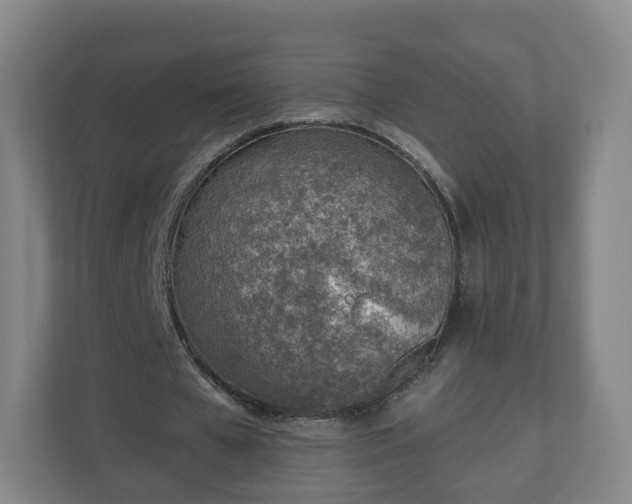 X0000110980577200906261431