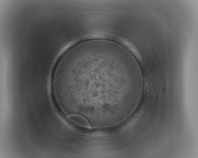 X0000110980578200906261431