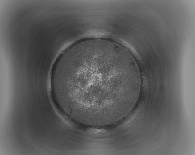 X0000110980582200906261431