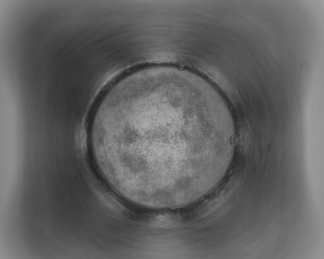 X0000110980584200906261431