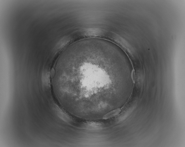 X0000110980585200906261431