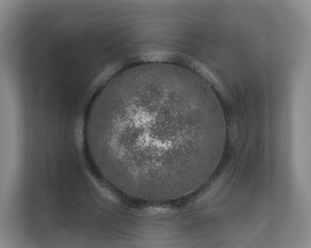 X0000110980586200906261431