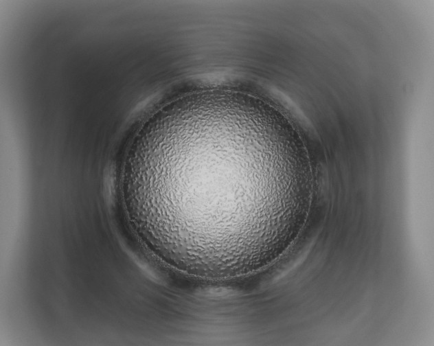 X0000110980590200906261431