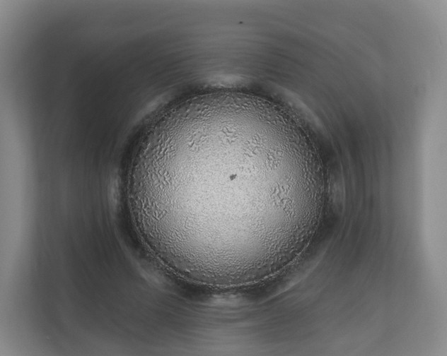 X0000110980591200906261431