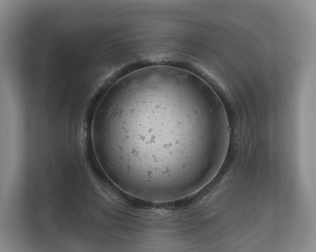 X0000110980592200906261431