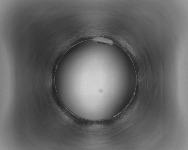 X0000110980593200906261431