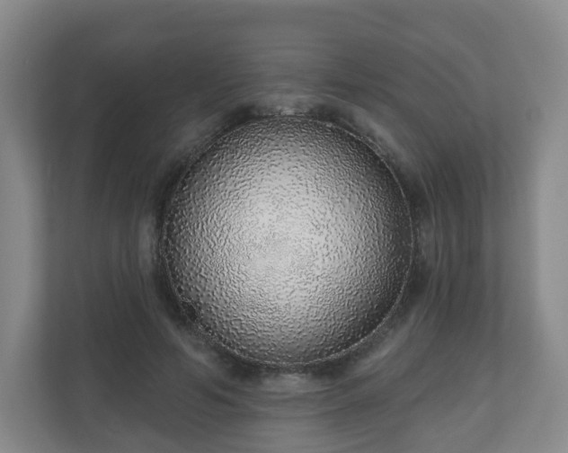 X0000110980594200906261431