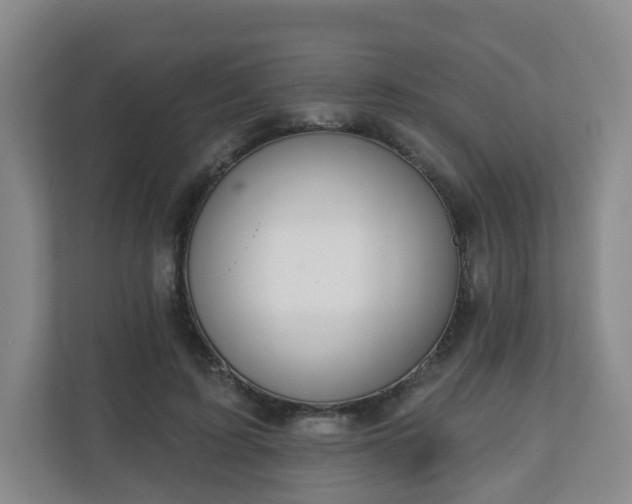 X0000110980595200906261431