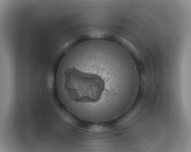 X0000110980596200906261431