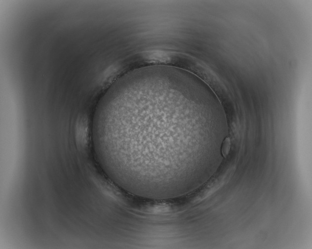 X0000110980600200906261431