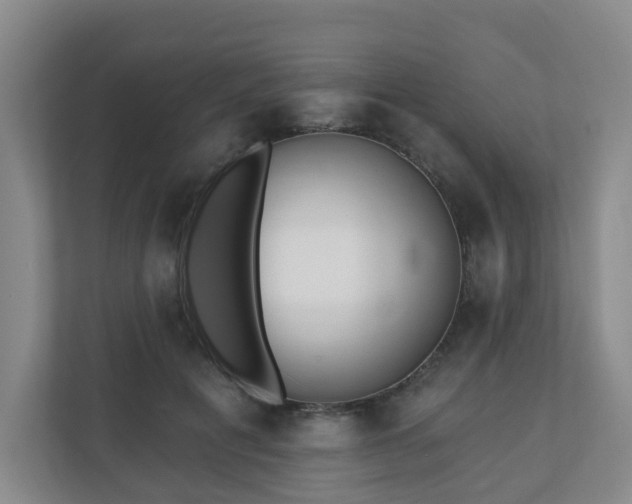 X0000110980601200906261431