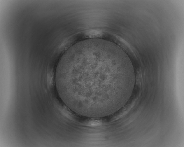 X0000110980604200906261431