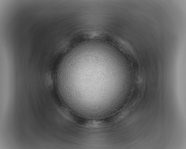 X0000110980607200906261431