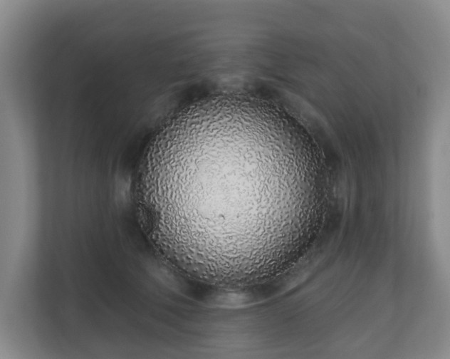 X0000110980610200906261430