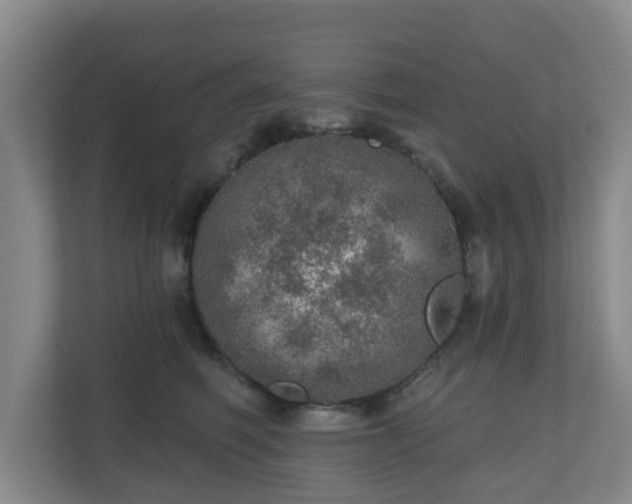 X0000110980614200906261430