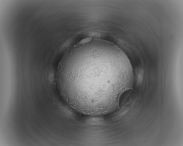 X0000110980619200906261430