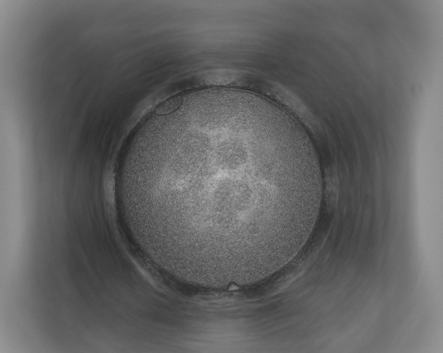 X0000110980626200906261430